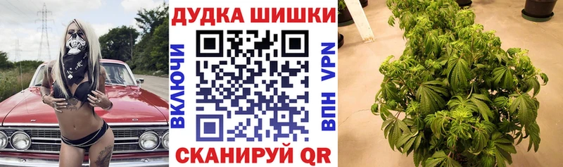 Магазины продажи наркотиков Эртиль Альфа ПВП  Меф  Cocaine 