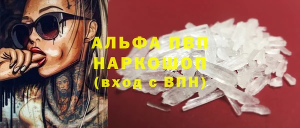 ECSTASY Кукмор