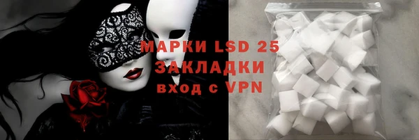 ECSTASY Кукмор