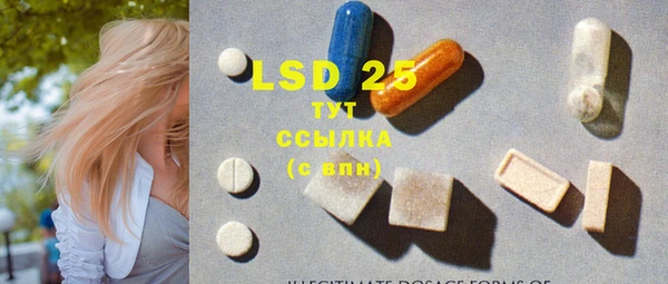 ECSTASY Кукмор
